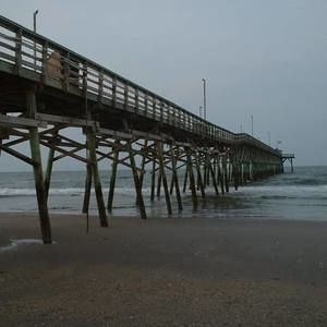 Meet your Posher, Missy